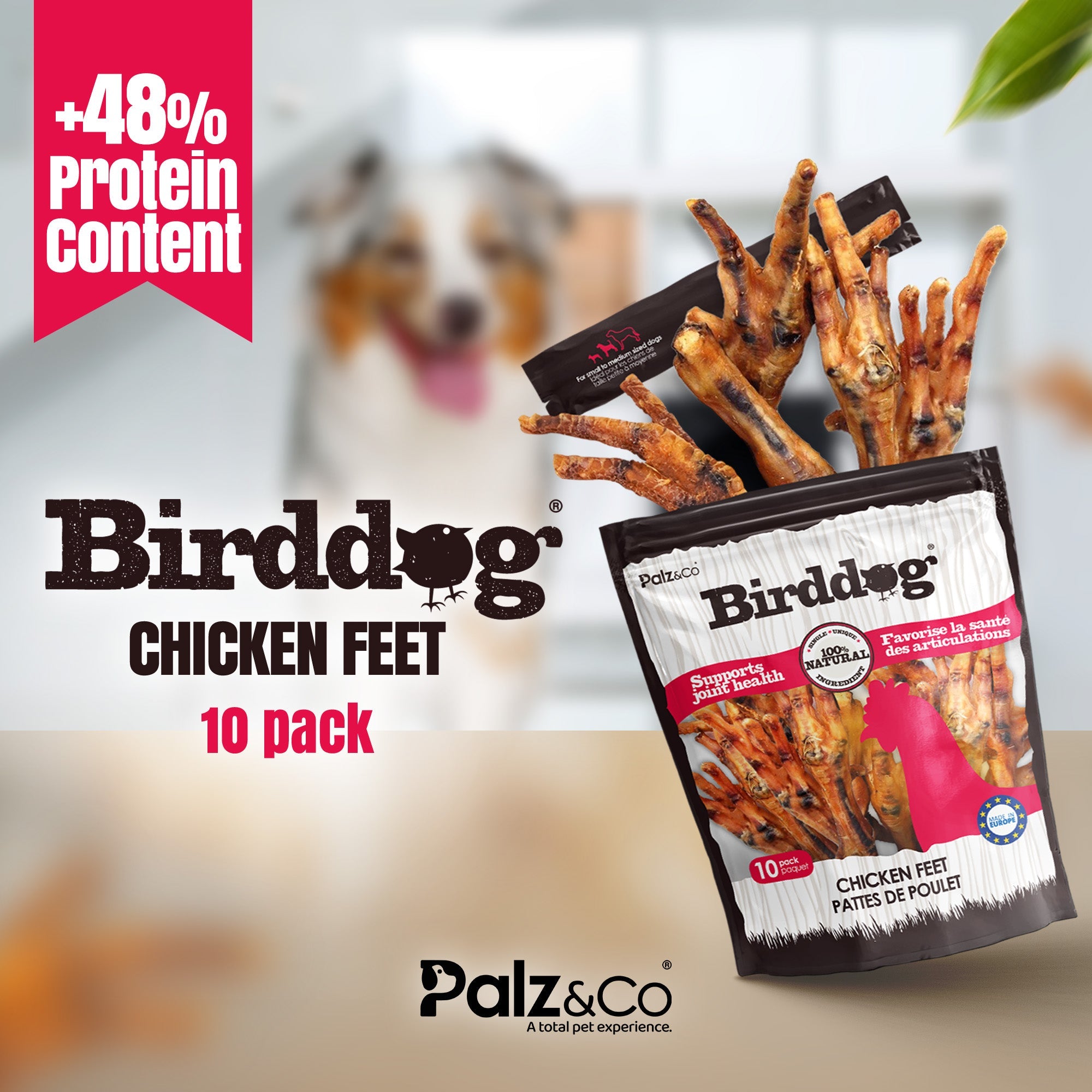 Birddog Chicken Feet Dog Treats - Pack of 10 & 35 Secondary image