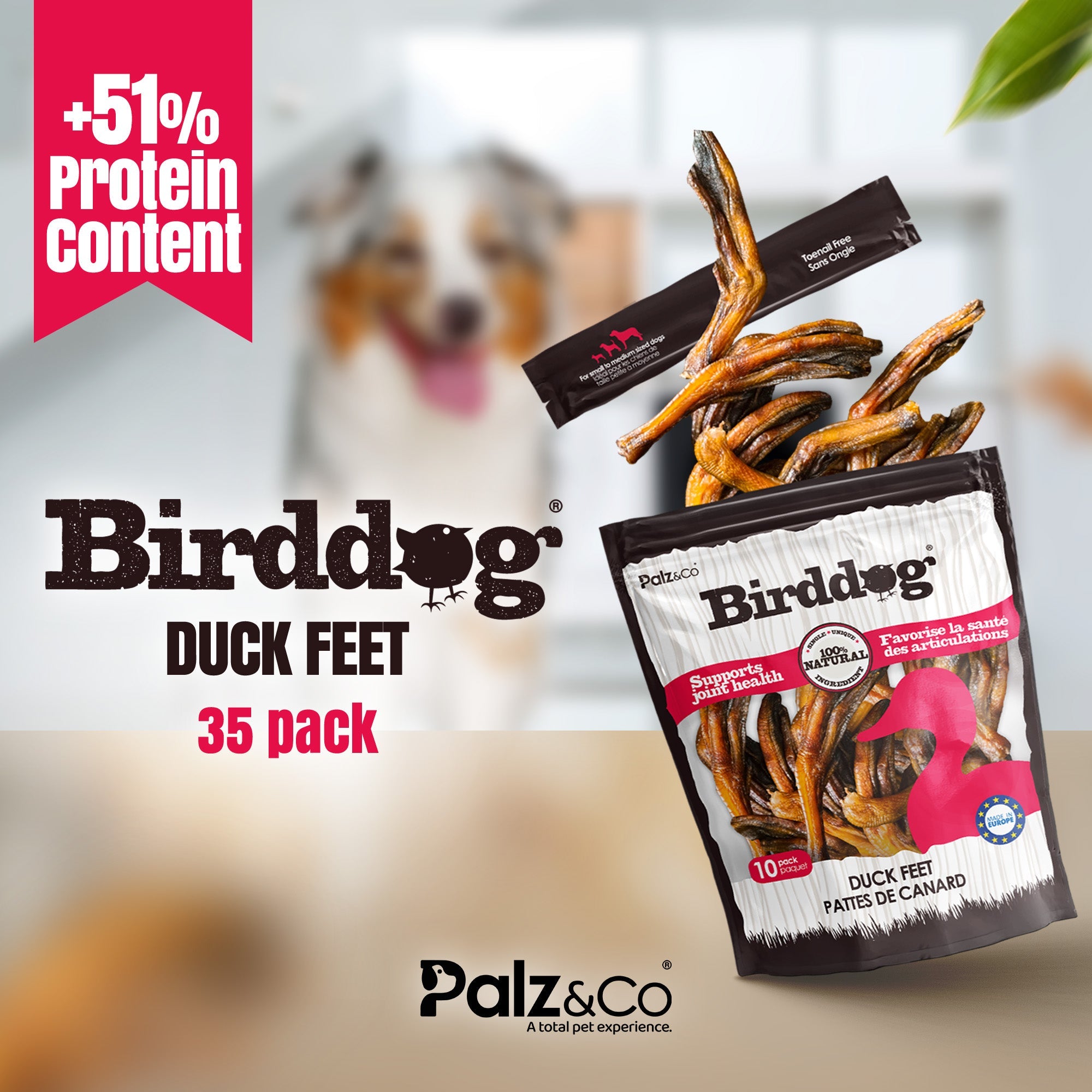 Birddog Duck Feet Chews (no nails) - Pack of 10 & 35