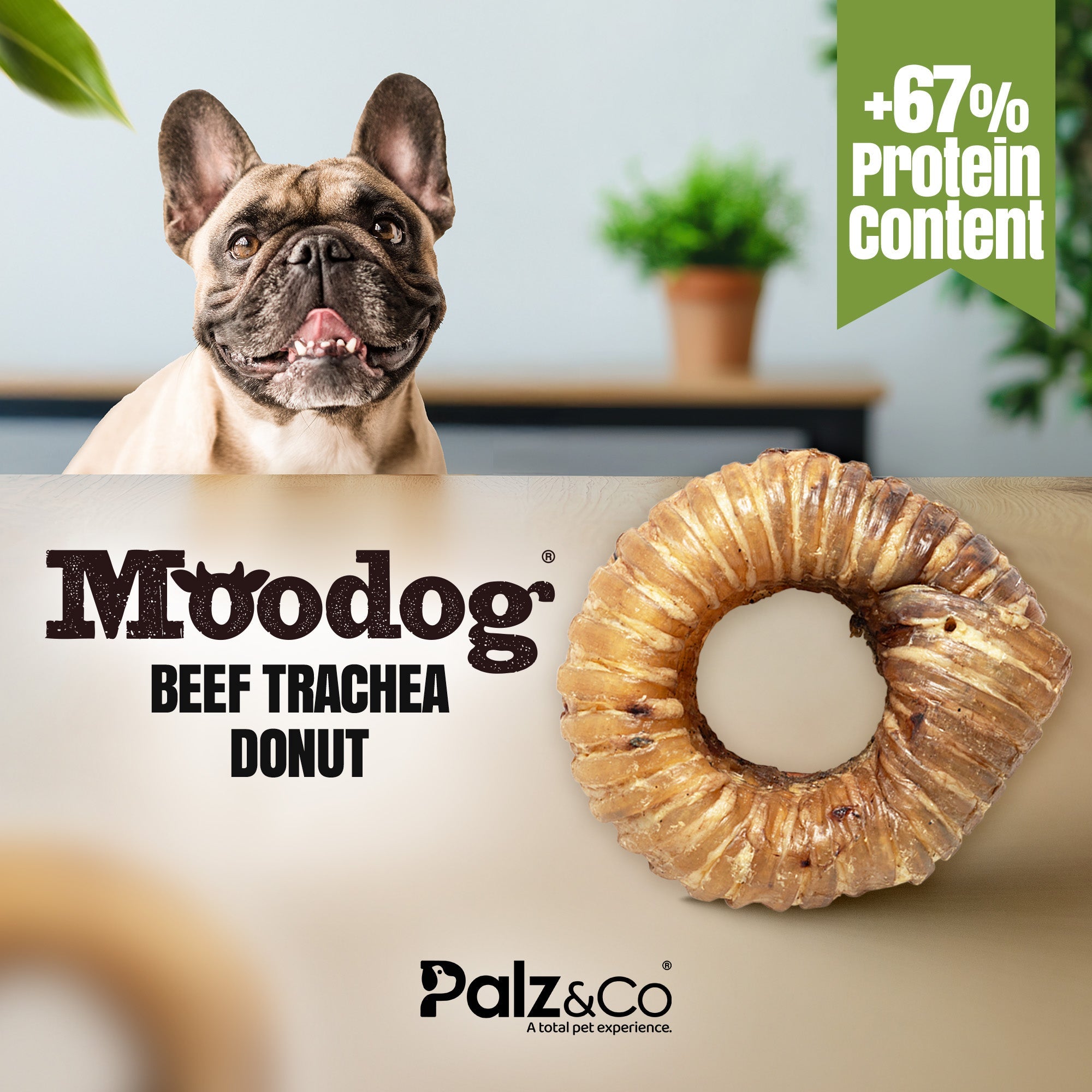 Moodog Trachea Donut - Pack of 1 Secondary image