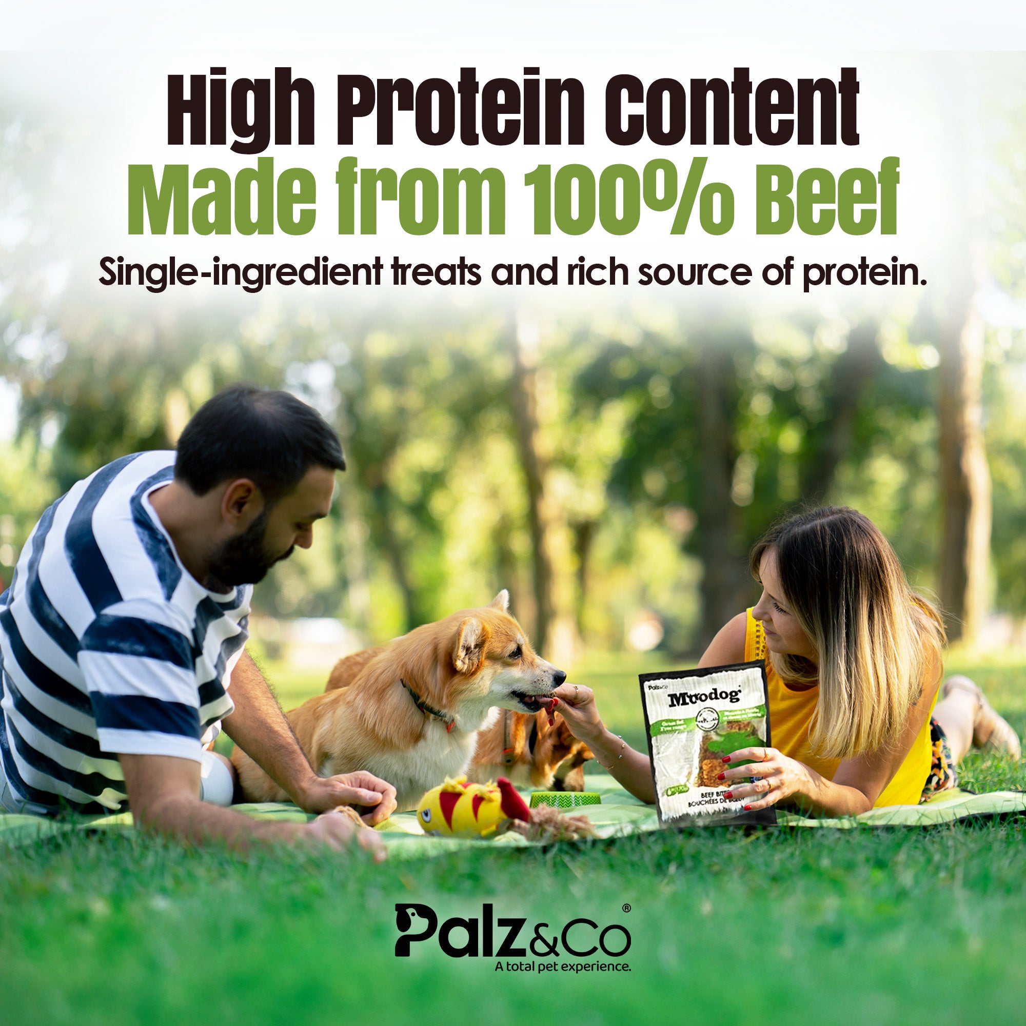 Man and woman with a dog on a picnic blanket, holding a Palz & Co product, with text about high protein content.