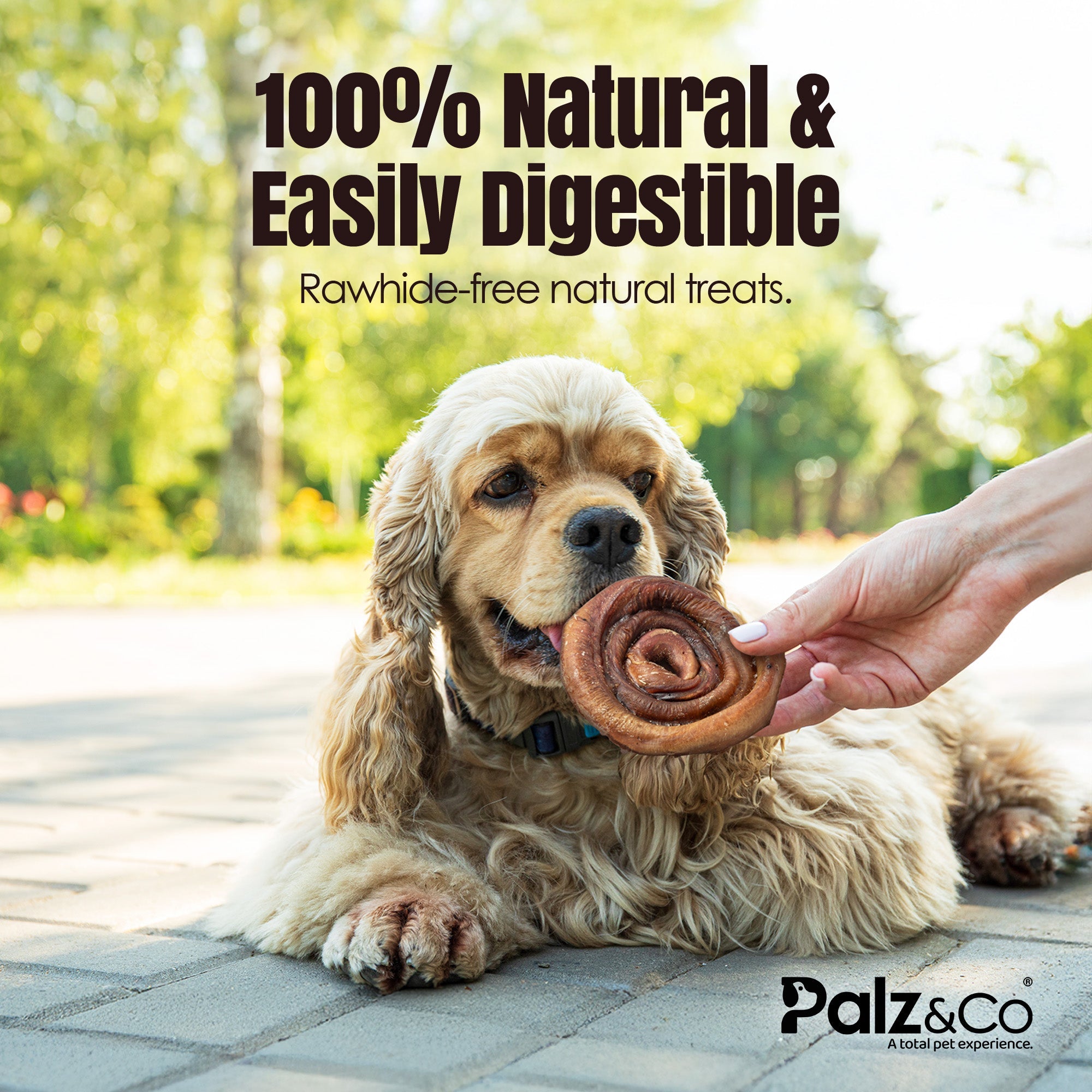 Dog eating a treat from a hand with text about natural and easily digestible treats, set against a blurred outdoor background.