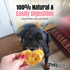 Dog looking at a heart-shaped treat held by a person, with text about natural and easily digestible treats.