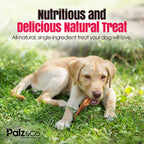 Dog chewing on a treat in the grass with promotional text about a nutritious and delicious natural treat.