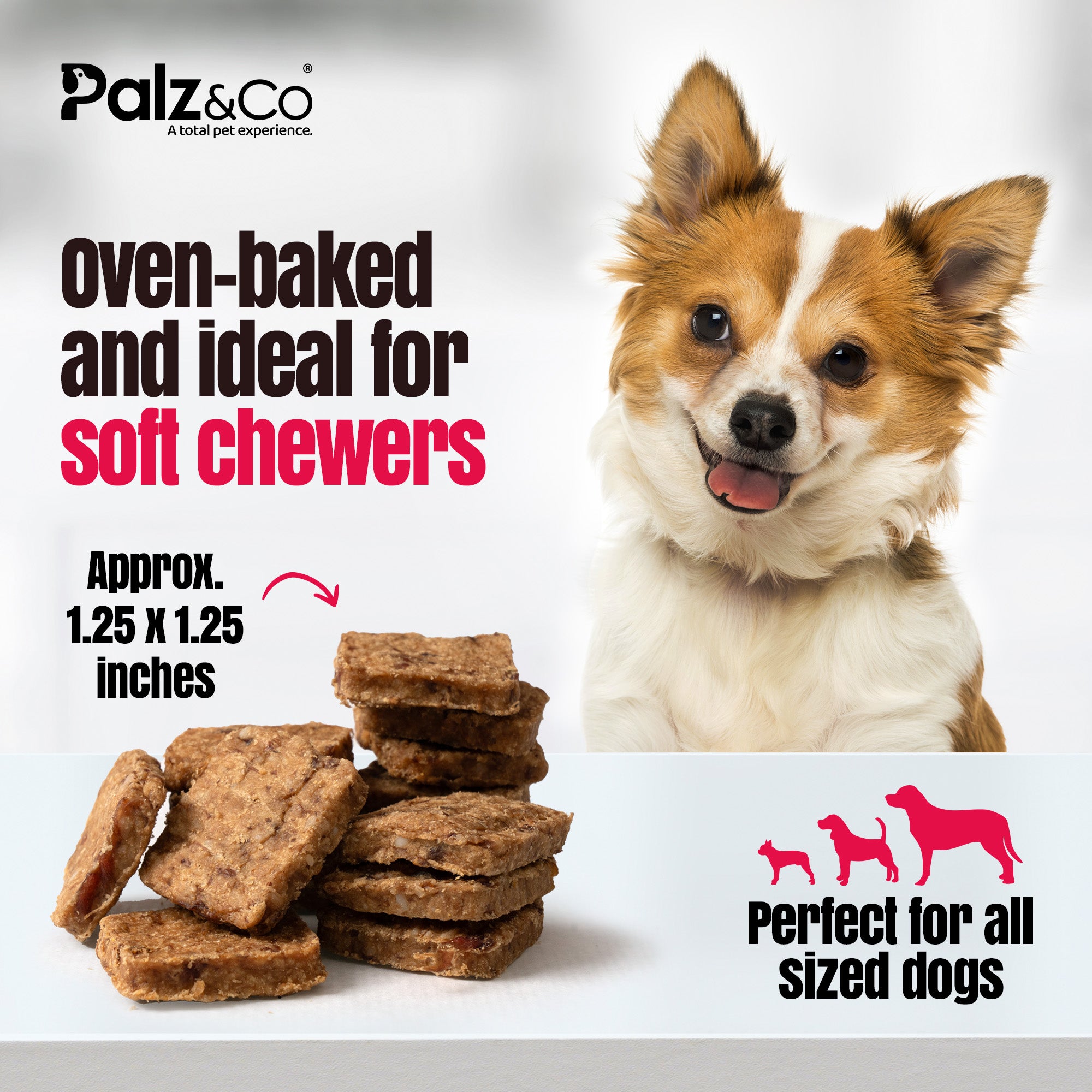 Birddog Duck Bites Dog Treats - 6 oz