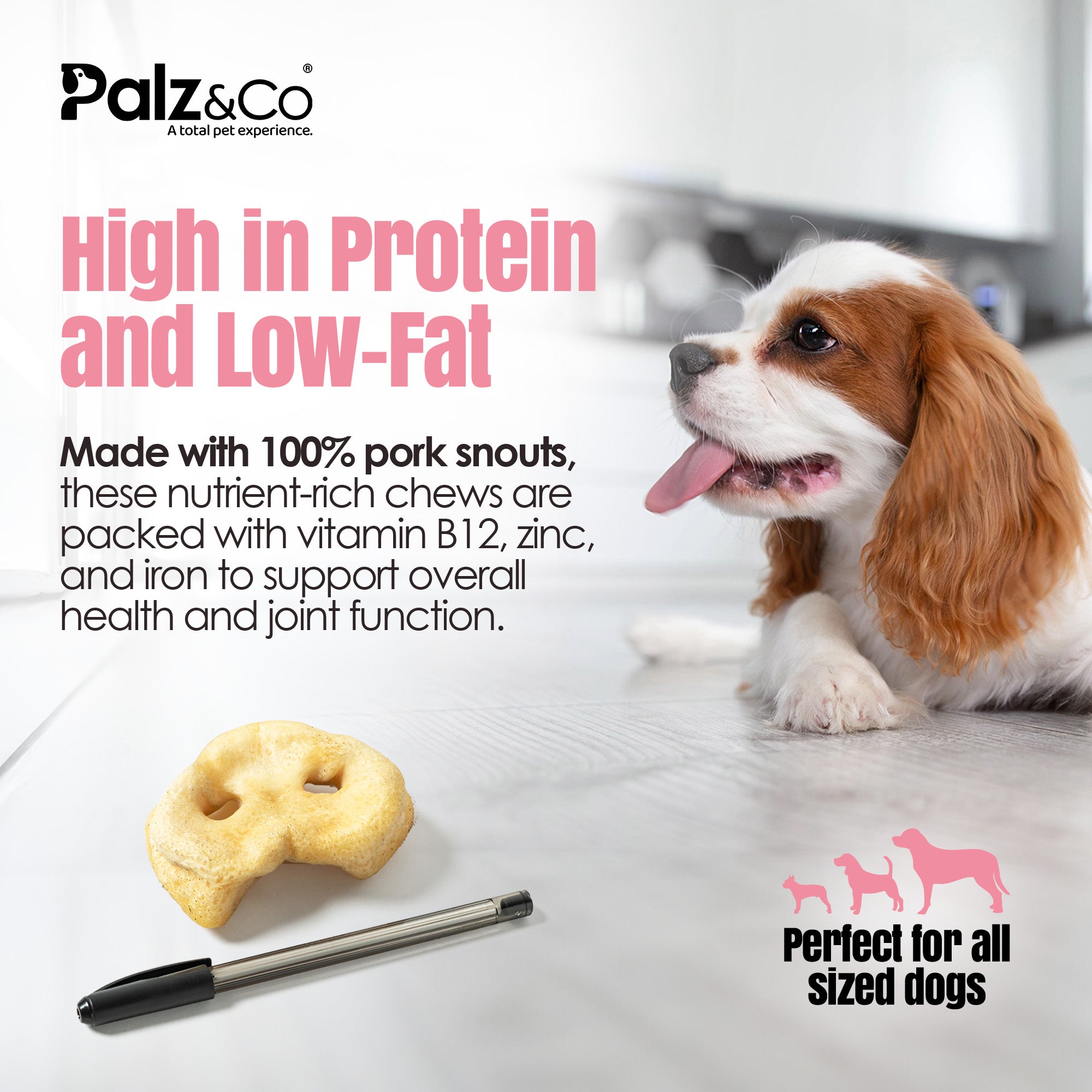 Dog with a treat and text about protein-rich dog chews from Palz & Co.