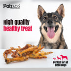 Dog with dried chicken feet and 'Palz & Co' branding on a white background
