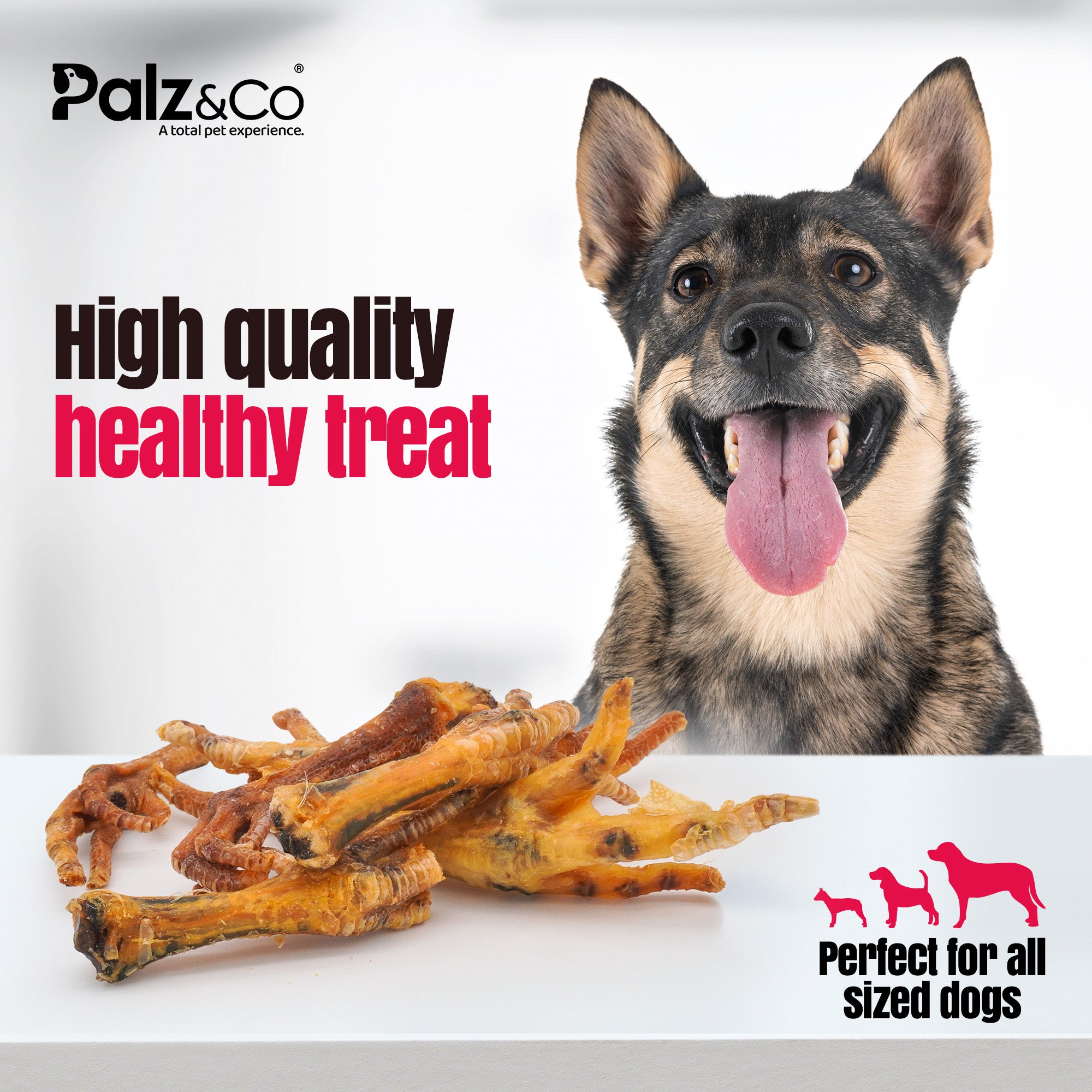 Dog with dried chicken feet and 'Palz & Co' branding on a white background