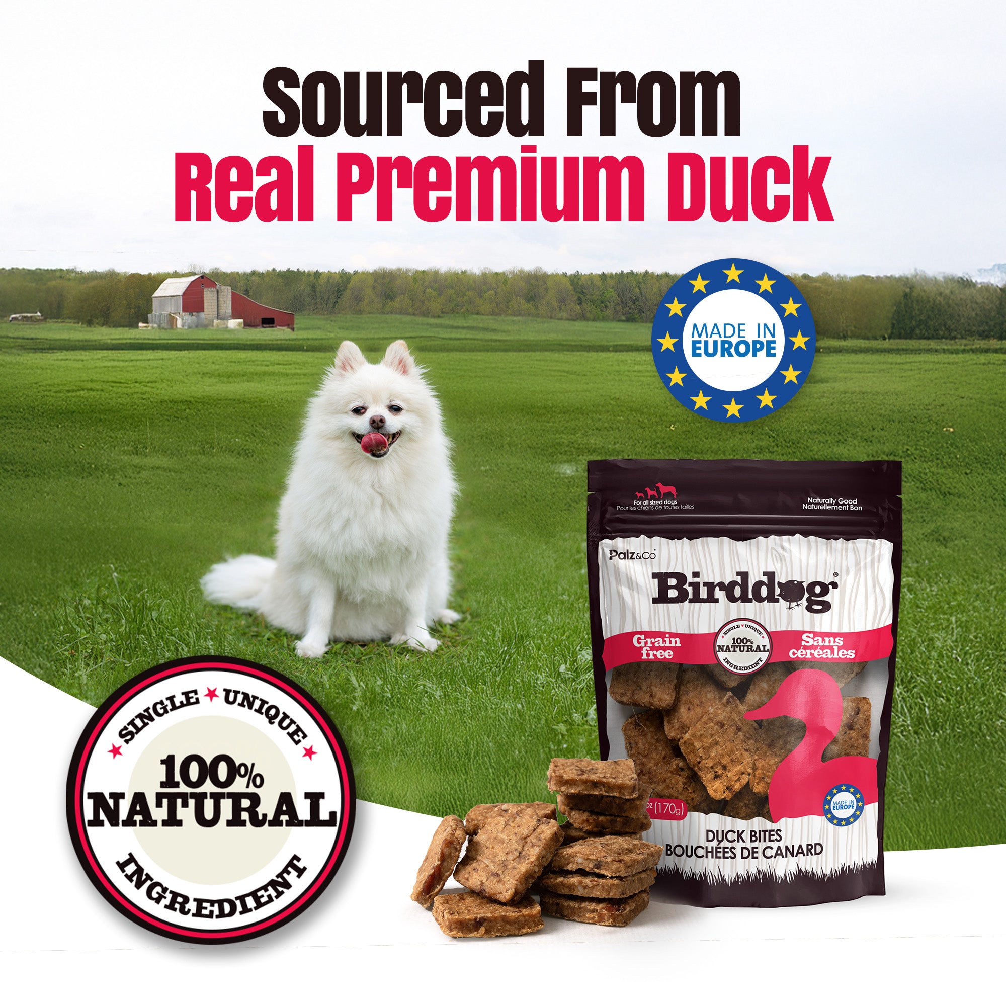 ドッグフード MIYUKI Palzandco Birddog All Natural Duck Bites, 6 oz