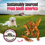 Dog lying on grass with a red barn, accompanied by dog treats and text about sustainability and natural ingredients.