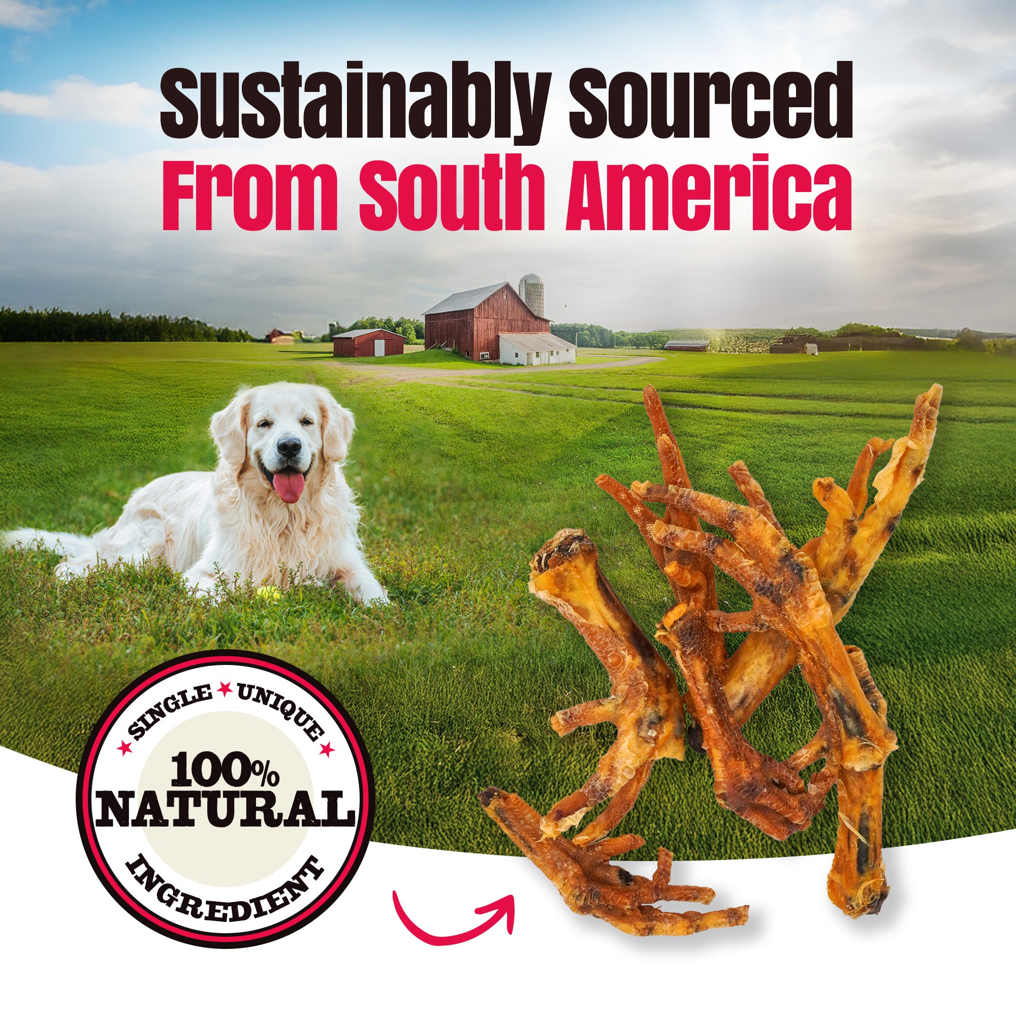 Dog lying on grass with a red barn, accompanied by dog treats and text about sustainability and natural ingredients.