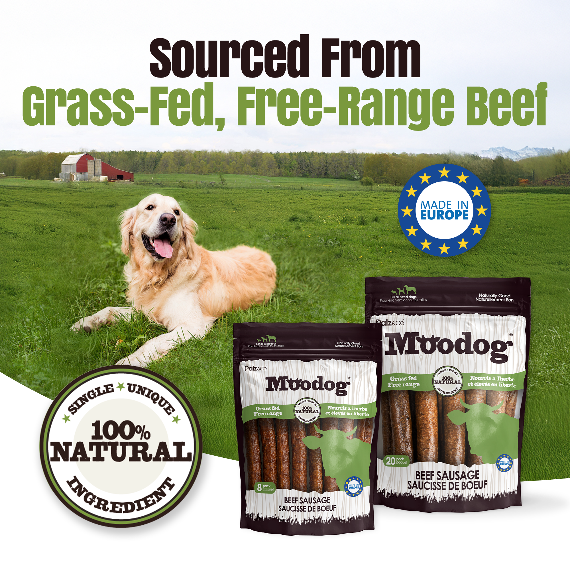 Dog food packages with a dog in a field, grass-fed and free-range beef text, and Moodog branding.
