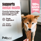 Dog holding a treat with text about dental health and natural treats, featuring the brand 'Palz & Co'.