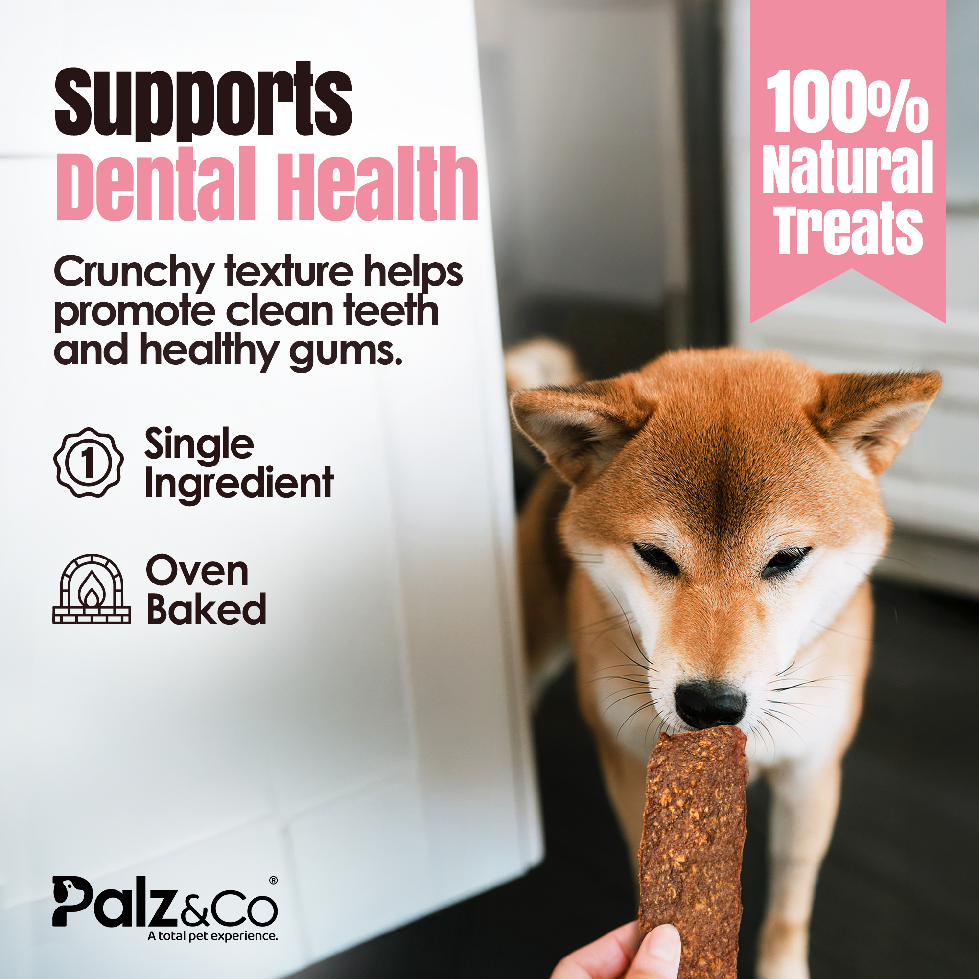 Dog holding a treat with text about dental health and natural treats, featuring the brand 'Palz & Co'.
