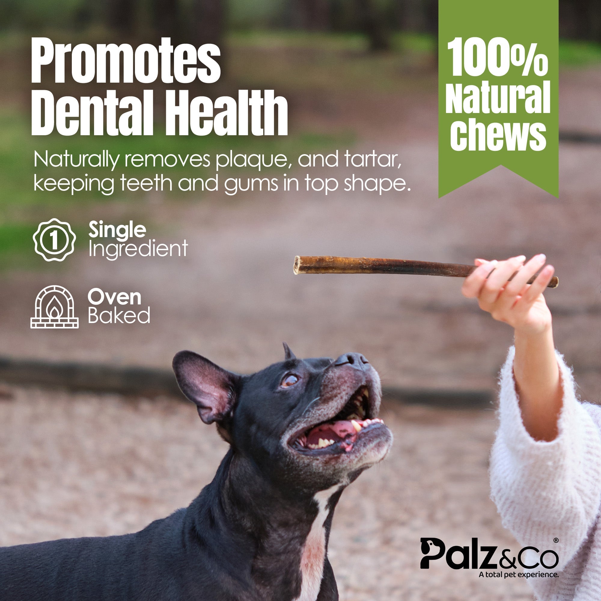 Dog chewing on a treat with text about dental health benefits and product features.