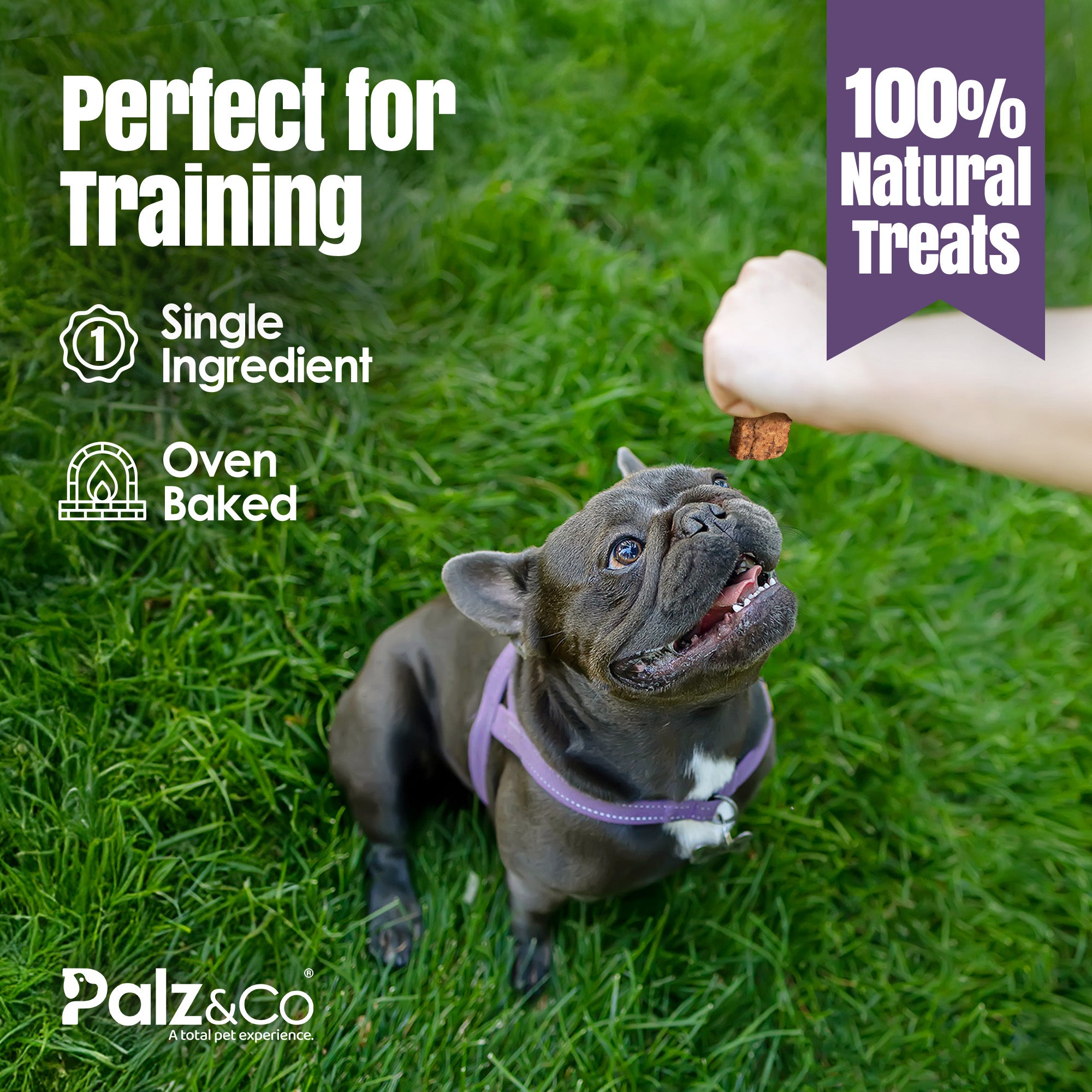 Rabbitdog Rabbit Bites Dog Treats, Grain-Free - 6 oz Secondary image