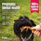 Dog eating a treat with promotional text about dental health and natural chews on a grassy background.
