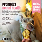 Dog holding a treat with promotional text about dental health and natural chews, featuring the brand 'Palz & Co'.
