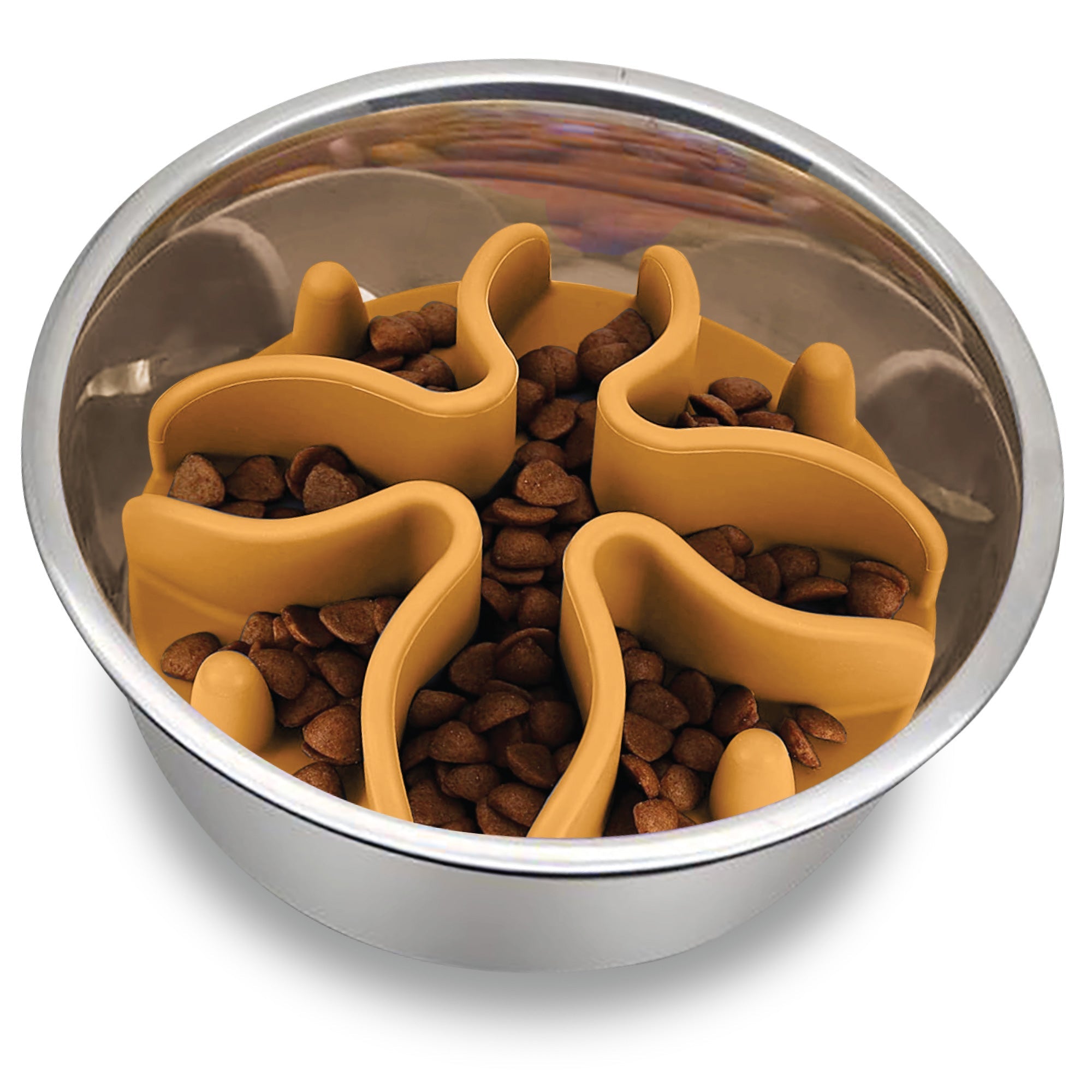 dog puzzle feeders