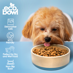 a dog eat dogfood on eco friendly bowls