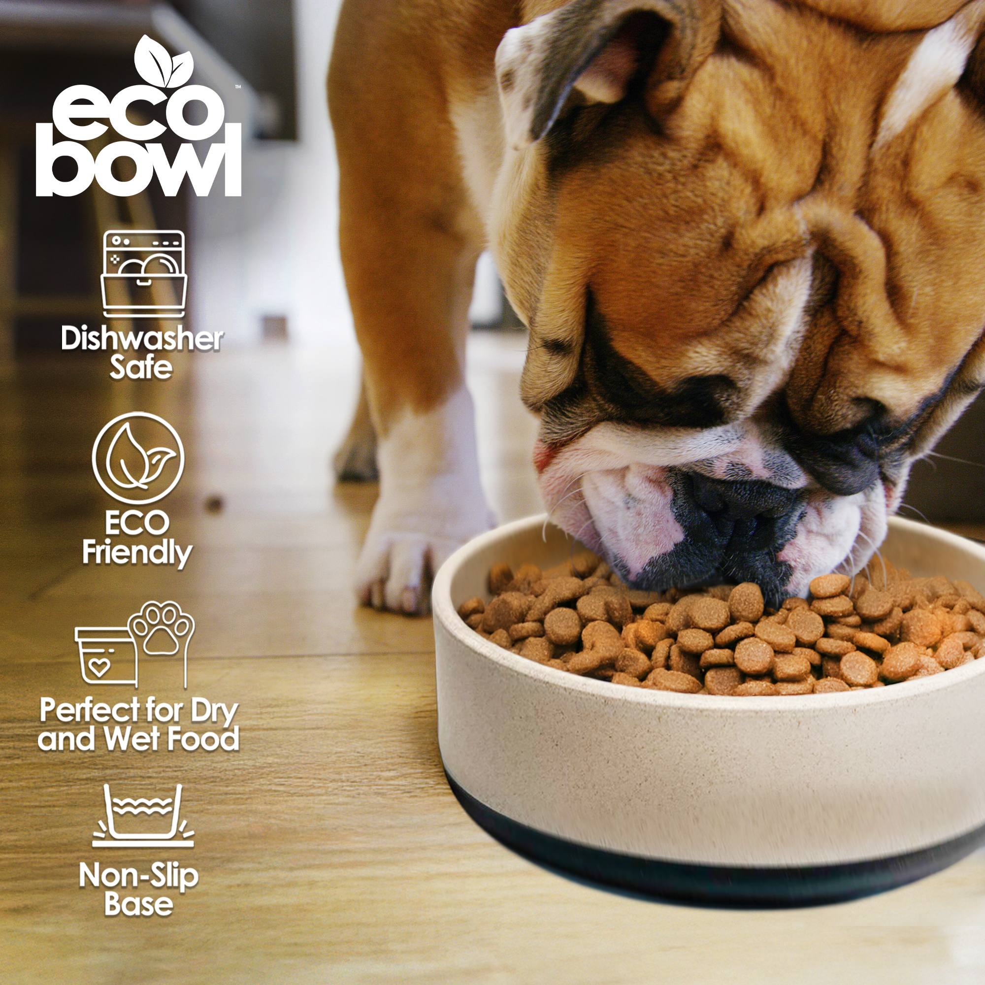 a dog eat dogfood on eco friendly bowls